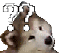 confuseddog animated Discord emote - Underworld