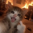 fuck