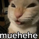 muehehe