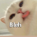 bleh