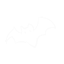 :bat: