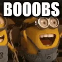 bbs
