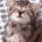 g_gatodormir_aw Discord emoji