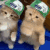 g_michisbailando_aw Discord emoji