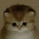 g_reflexiono_aw Discord emoji