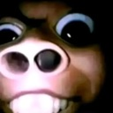A close-up of a brown creature with wide eyes and large teeth staring directly forward.