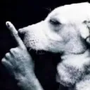 shh
