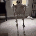A plastic skeleton standing in a room suddenly collapses into a heap of bones on the floor.