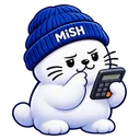 mish_budget
