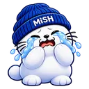 mish_cry