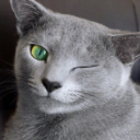 phantom Discord Emoji - Venus [VNS] - FrontWars.io