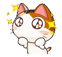 A calico kitten with large, sparkling eyes looking up in wonder.