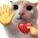 Brokenheartcatmeme