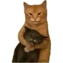 emoji_79