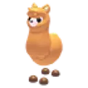 alpaca
