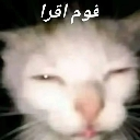 A close-up of a white cat with squinted eyes looking suspicious and judgmental.