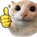 CattoThumbsup Discord Emoji | Gaming with shim
