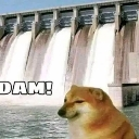 Cheems dog with a deadpan expression standing in front of a large dam with the text DAM! visible.