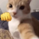 Uannoyme custom emote from Call of Booty