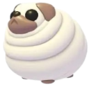 A spherical, white pug with brown ears and a small face looking slightly upward.
