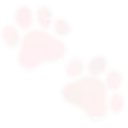 paw_41 Discord sticker - ノcoℓℓαrεd ◞♡