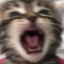 g_gatitogrito_aw Discord emoji