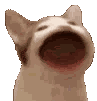 me_popcat_aw Discord emoji