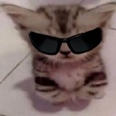 g_gatitopro_aw Discord emoji