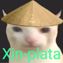 A cat with wide eyes wearing a conical hat and the text Xin-plata below it.