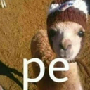 An alpaca wearing a brown knit hat stares directly at the camera with a confused expression.