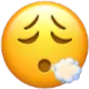 :2_tuff: