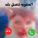 A blurry cat face with a red decline button and a green answer button overlaid on the image.