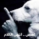 A dog with a human hand held over its nose in a shushing gesture with Arabic text below.
