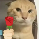 Catlove custom emote | Minecraft