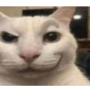 803924419_2996678710672664_78386 Discord Emoji - Minecraft