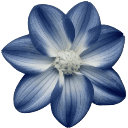 Xieron_stolen_emoji_1790931957