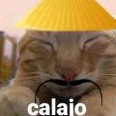 A cat with closed eyes wearing a yellow hat and a black drawn-on mustache with the text calajo below it.