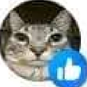 Cat face with a serious expression featuring a blue thumbs-up icon overlaid on the bottom right.