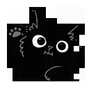 n_black
