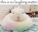 A very round, fluffy white rabbit with pastel rainbow fur staring intensely at the viewer with a serious expression.