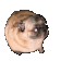 dogdance