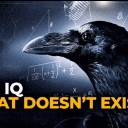 A black raven profile against a dark background with white mathematical equations and yellow text.