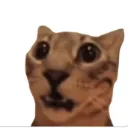 __