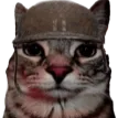 soldjacat
