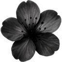 gothicflower custom emote - ☾ Intertwined | Social ☽