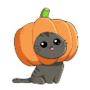 A small gray kitten wearing a large orange pumpkin as a hat.