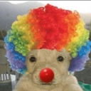 me_perropayaso_aw Discord emoji