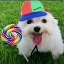 me_perritofeliz_aw Discord emoji