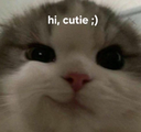 :213326hicutie: