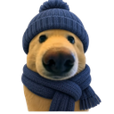 A dog wearing a blue knitted beanie and matching scarf looking straight ahead.